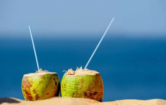 Salvador imperdível Salvador imperdível